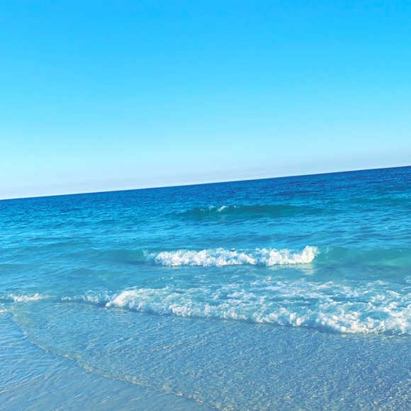 Meet your Posher, Toby - Picture 1 of 1